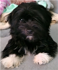 LARS - 3 mesece