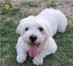 Piki❤️