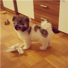 Luna