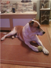 Ares