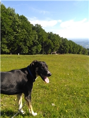 Beni