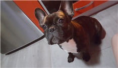 Charlie