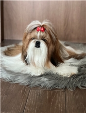 Fiona