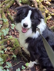 Lady of Grace - Nala