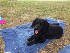 Ares