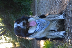 Ben