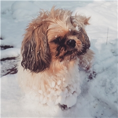 Winny