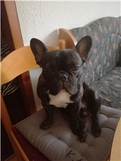 Winny
