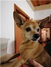 Lina