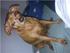 Mylo