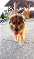 Max