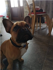 Axel