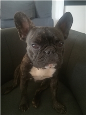 Ruby