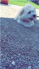Bella