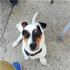 Pablo