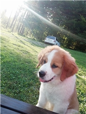 Beethoven