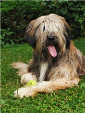 Max