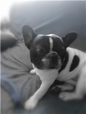 Nuk