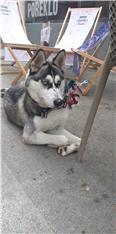 Ella
