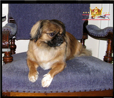 Liza