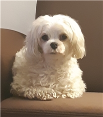 Bella