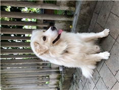 Lun