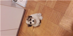 Eli