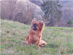 Lili