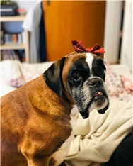 Pablo